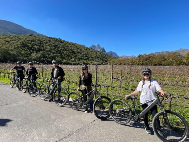 Stellenbosch Winelands Guided E-Bike Day Tour Countryside