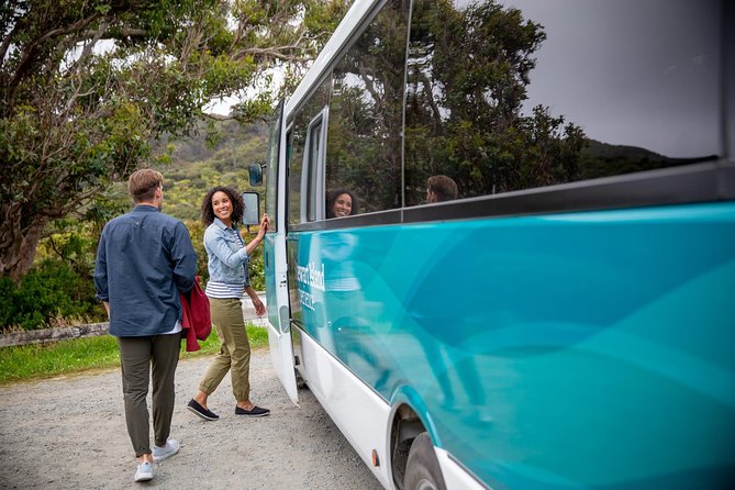 Stewart Island: Village and Bays Tour - Key Points