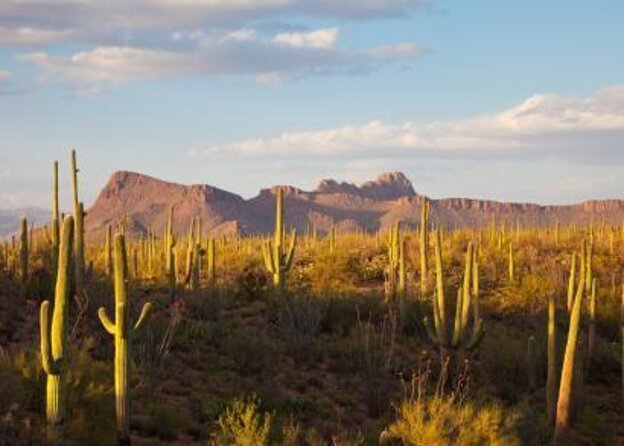 Stunning Sunrise or Sunset Guided Hiking Adventure in the Sonoran Desert - Just The Basics