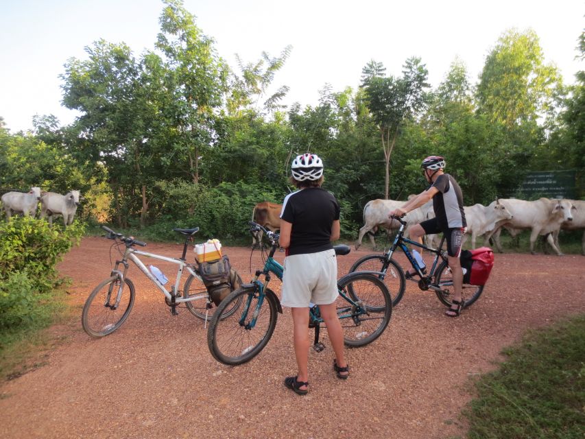 Sukhothai: Historical Park & Countryside Cycling Tour - Key Points