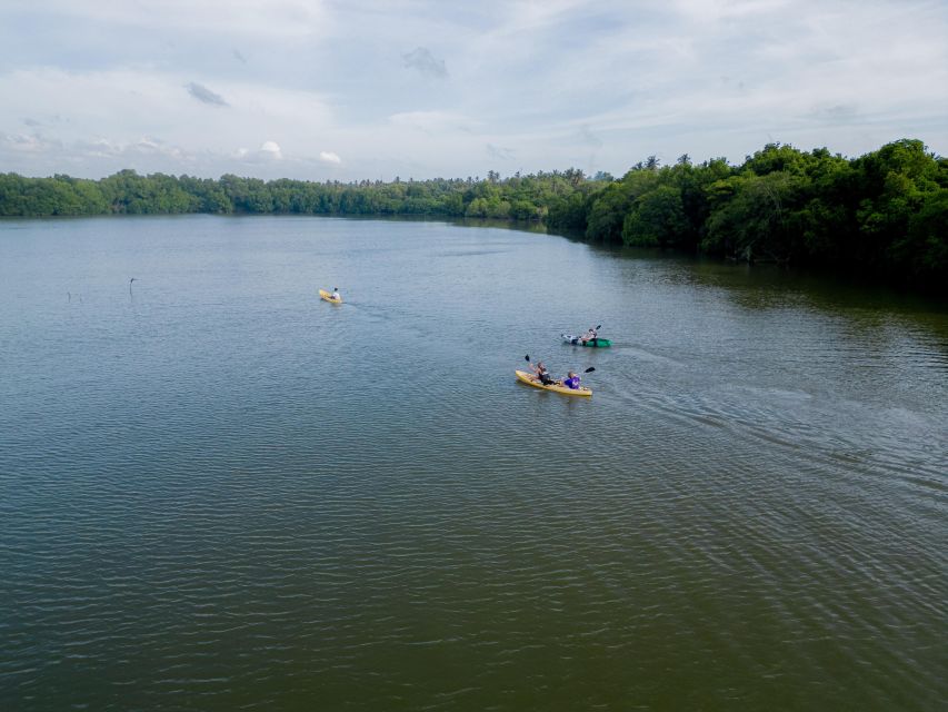 Sunrise Kayaking on the Negombo Lagoon - Key Points