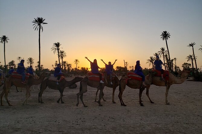 Sunset Camel Ride in the Palm Grove of Marrakech - Tour Highlights