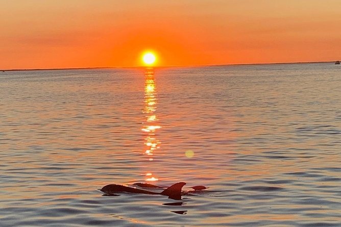 Sunset Cruise on the Florida Bay - Just The Basics