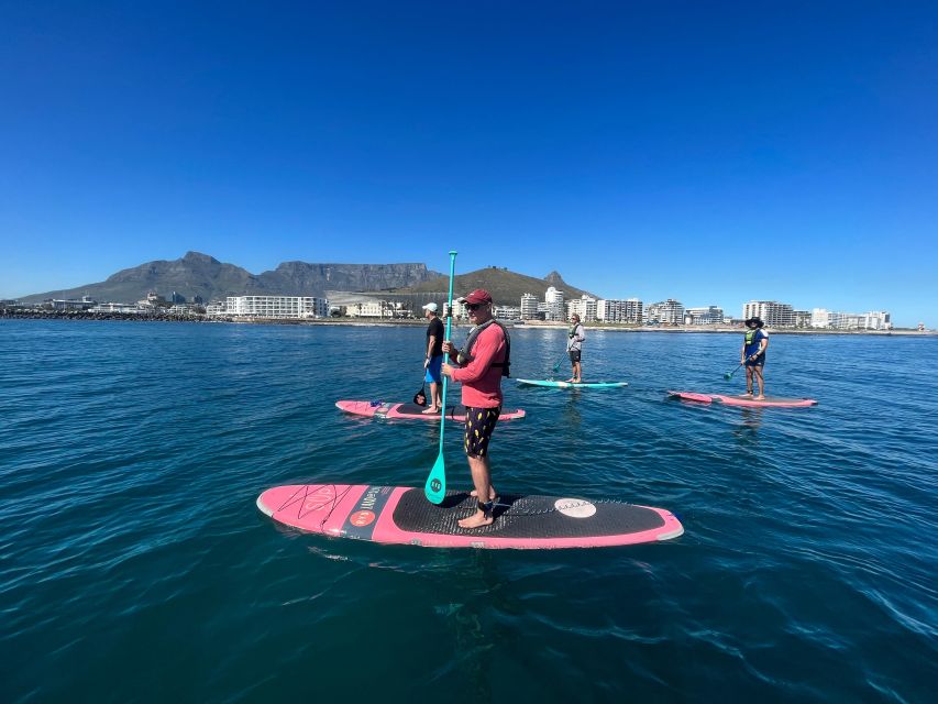 SUP Ocean Tour - Key Points