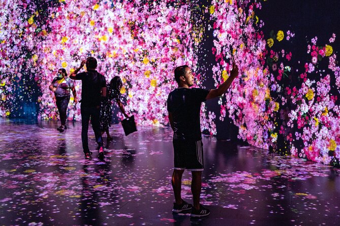 Superblue Miami Immersive Art Experience Ticket in Miami - Key Points