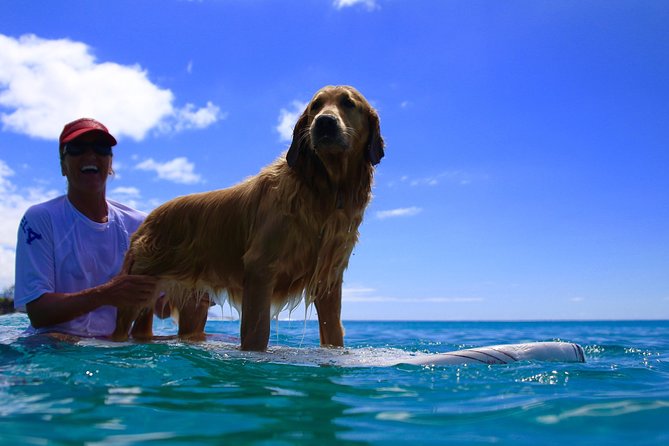 Surf Lessons on the North Shore of Oahu - Just The Basics