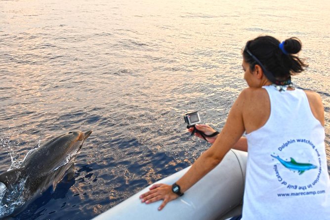 Sustainable Dolphin Watching Tour With Marine Biologist (Mar ) - Key Points