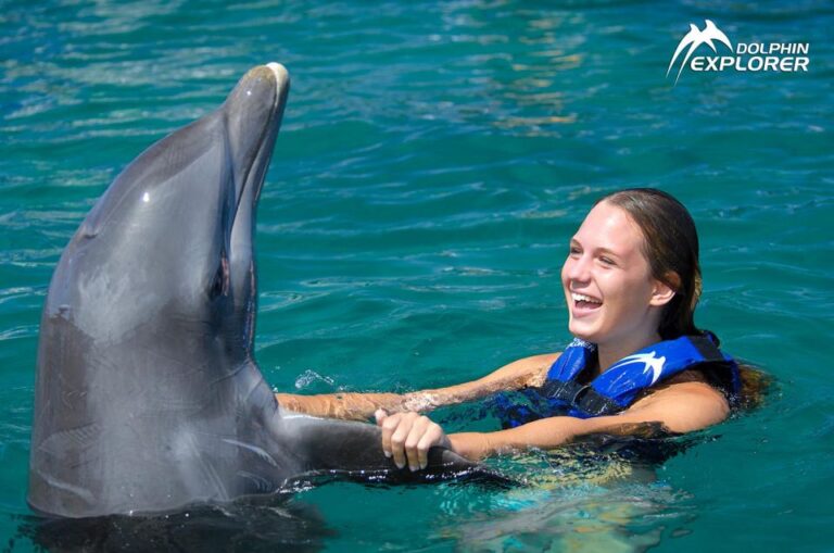 Swim With Dolphins in Punta Cana