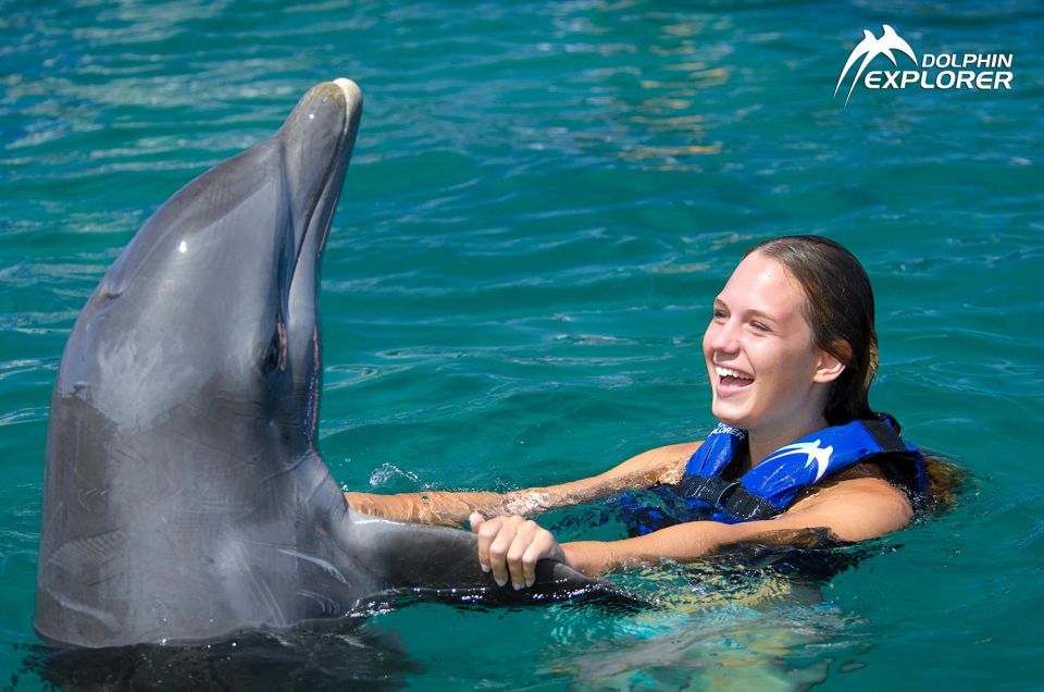swim with dolphins in punta cana Swim With Dolphins in Punta Cana