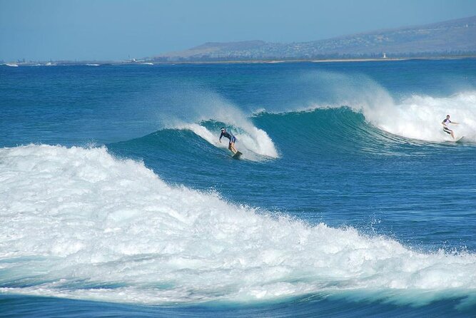 Swim With Sharks (Cage-Free) From Haleiwa, Oahu - Just The Basics