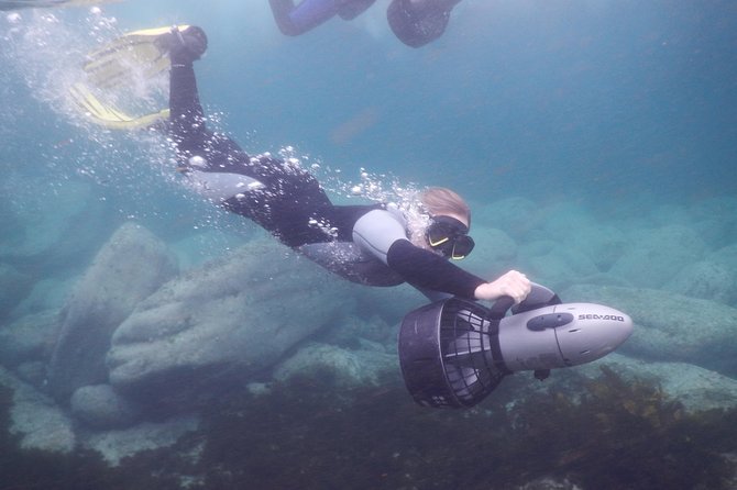 Sydney Underwater Scooter Tours - Key Points