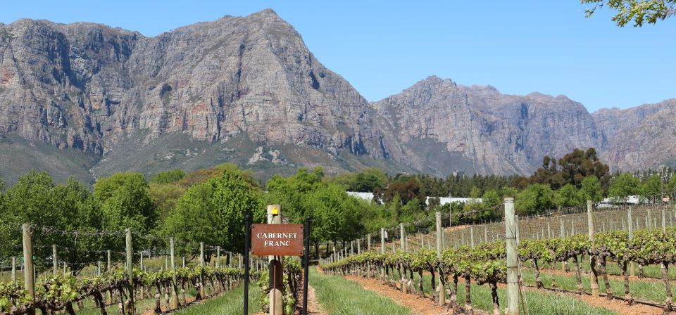 Table Mountain & Constantia Wine Estate Private Combo Tour - Just The Basics