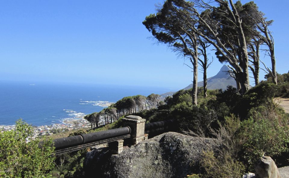 Table Mountain: Gentle Guided Meander for the Whole Family - Key Points