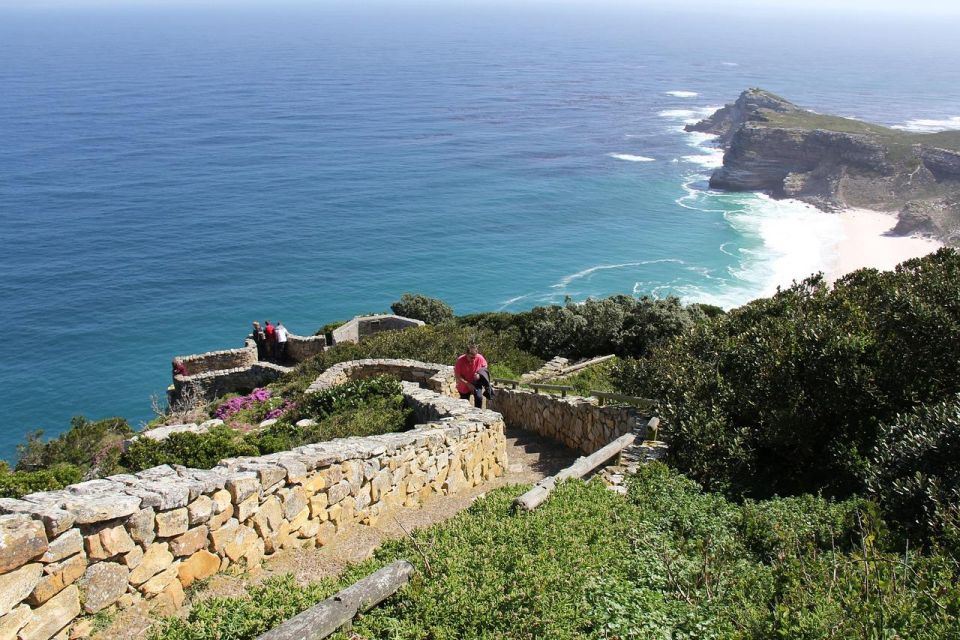 Table Mountain Penguins & Cape Point Day Tour From Cape Town - Key Points