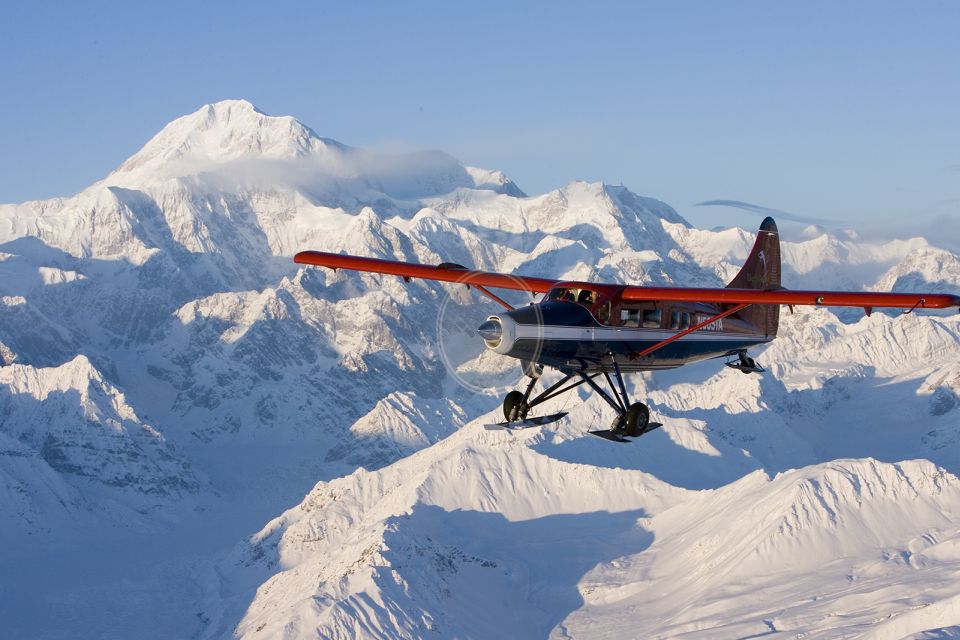 Talkeetna: Denali Southside Explorer Scenic Air Tour - Key Points