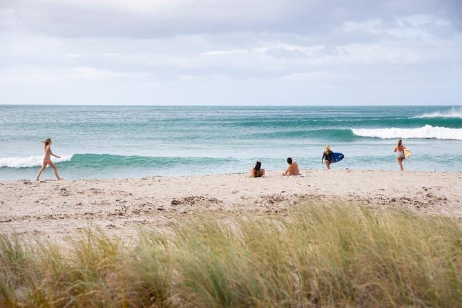 Tauranga Shore Excursion: Small-Group Bay of Plenty and Tauranga Tour - Key Points