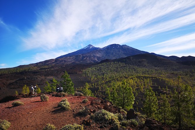 teide national park for smaller groups Teide National Park for Smaller Groups