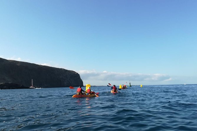 Tenerife Kayaking and Snorkeling Trip With Turtle Spotting - Just The Basics