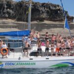 tenerife whale and dolphin watching catamaran tour with drinks Tenerife Whale and Dolphin-Watching Catamaran Tour With Drinks