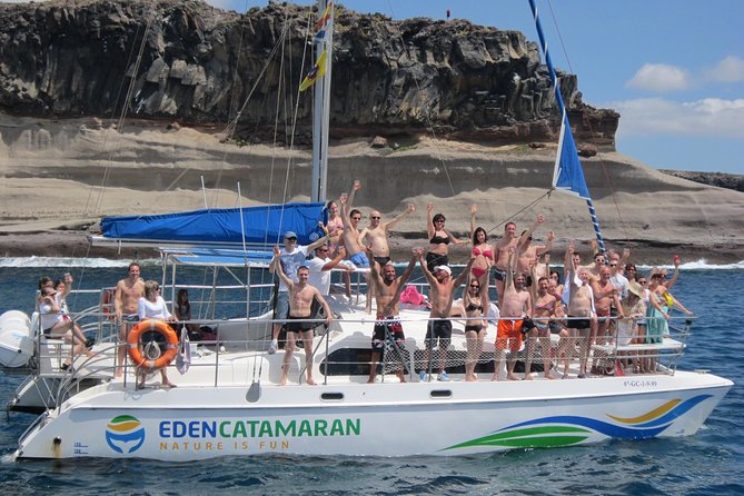 Tenerife Whale and Dolphin-Watching Catamaran Tour With Drinks