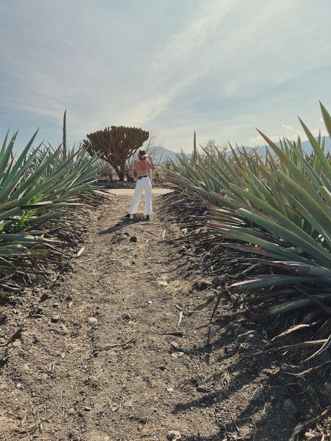 The Mezcal Journey - Key Points