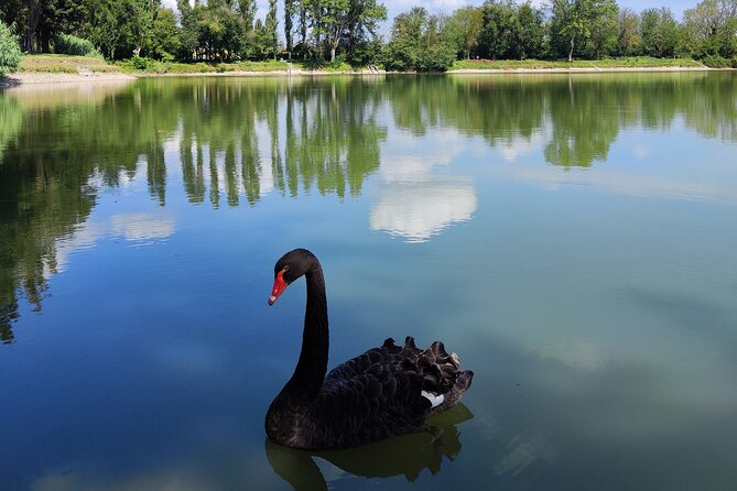 The Milan You Dont Expect, Bike Tour With Picnic on the Lake - Key Points