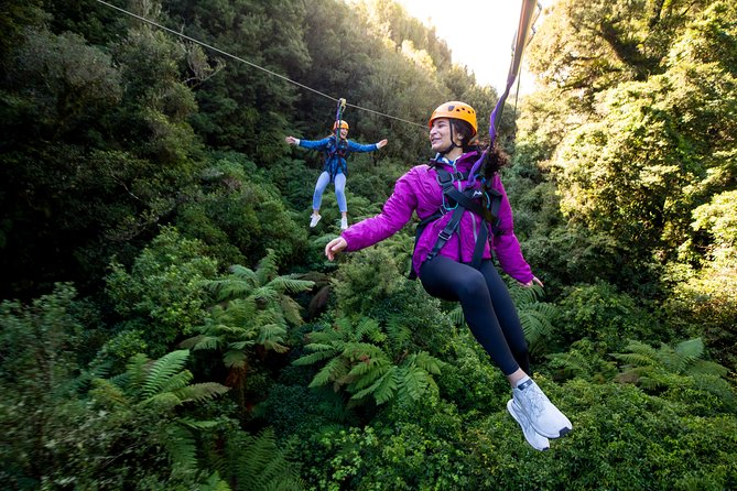 The Ultimate Canopy Zipline Experience Private Tour From Auckland - Key Points