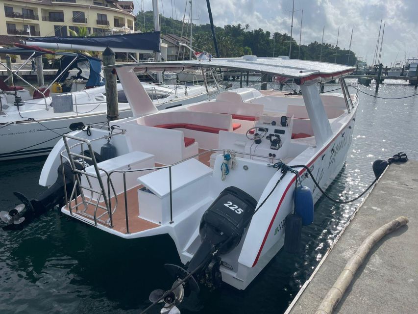 The Whales, Cayo Levantado and Limon Waterfall - Punta Cana - Just The Basics