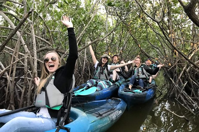 Thousand Island Mangrove Tunnel, Manatee & Dolphin Kayak Tour W/Cocoa Kayaking - Just The Basics