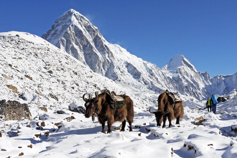 Three High Pass Everest Trek - Key Points