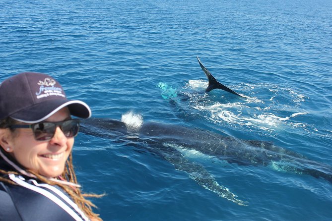 Three-Quarter Day Hervey Bay Premium Whale Watching Cruise - Key Points