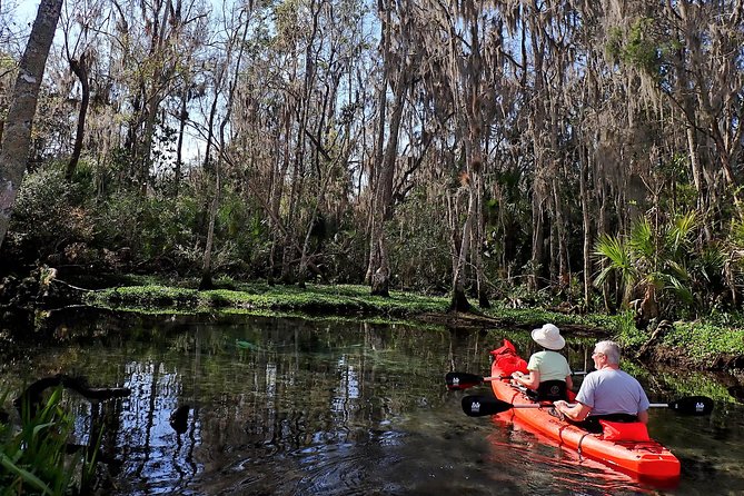 Three Sisters Springs Kayak And Swim Eco-Tour Crystal River - Key Points