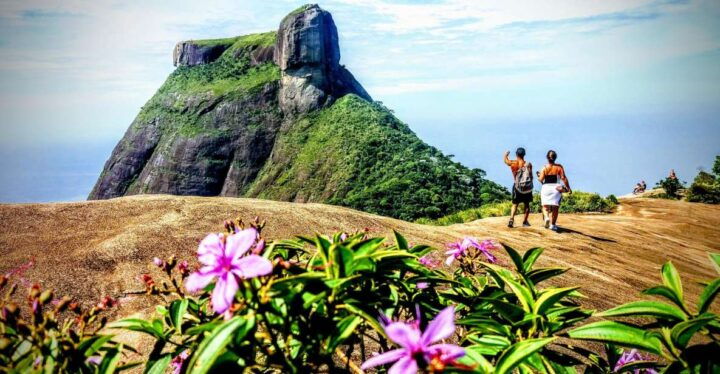 Tijuca National Park Small-Group Hike to Pedra Bonita - Key Points