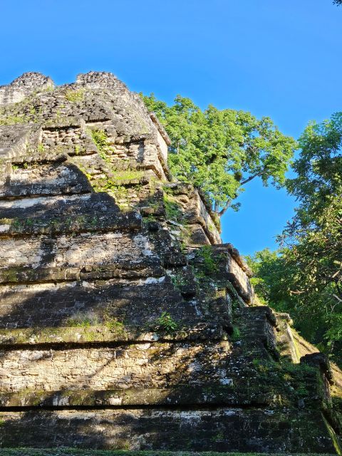 Tikal From Flores or Mundo Maya Airport - Key Points