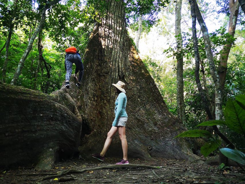 Tikal Sunrise, Archeological Focus and Wildlife Spotting - Key Points