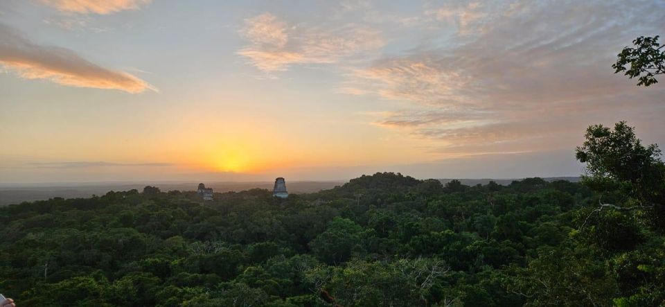 Tikal Tour With General Focus More Lunch and Local Guide - Key Points