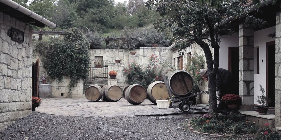 Tokaj and Sárospatak Private Day Tour From Budapest - Key Points