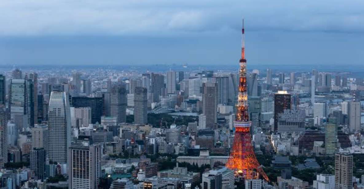 Tokyo: 1 Day Private Customizable City Tour by Car and Van - Key Points