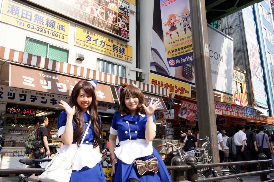 Tokyo: Akihabara 2-Hour Guided Walking Tour - Tour Highlights