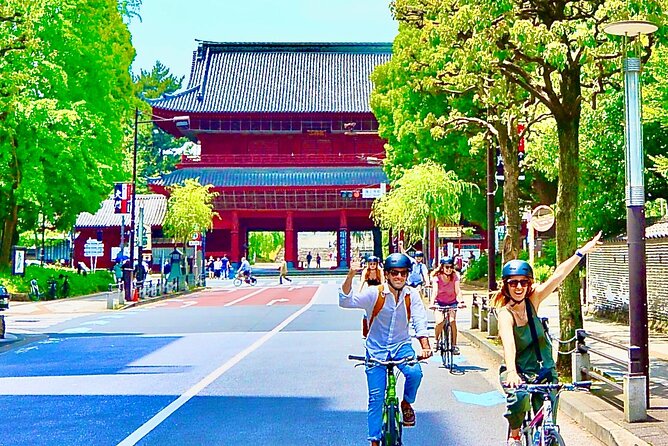 Tokyo Bike Tour With Meiji-Jingu Shrine, Aoyama Cemetery - Just The Basics