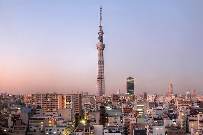 Tokyo by Bike: Skytree, Kiyosumi Garden and Sumo Stadium - Key Points
