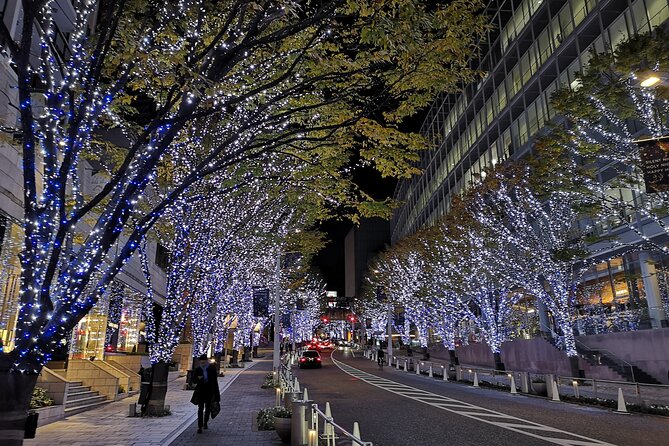 Tokyo Christmas Tour With a Local Guide: Private & Tailored to You - Key Points