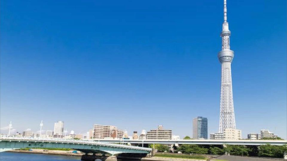Tokyo: Customizable Private Guided Walking Tour - Just The Basics