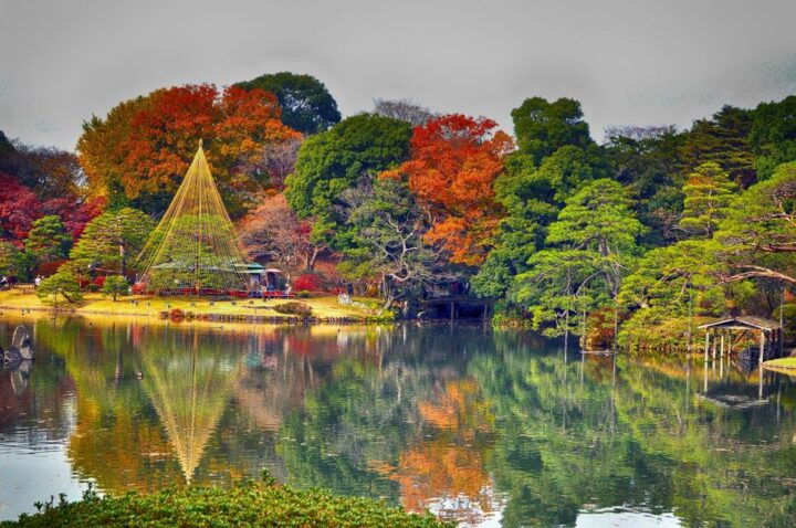 Tokyo: Full-Day Japanese Garden Private Guided Tour - Just The Basics