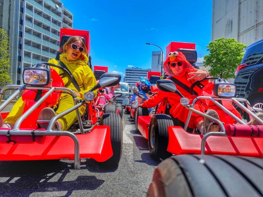 Tokyo: Guided Street Go-Karting Tour in Tokyo Bay - Just The Basics