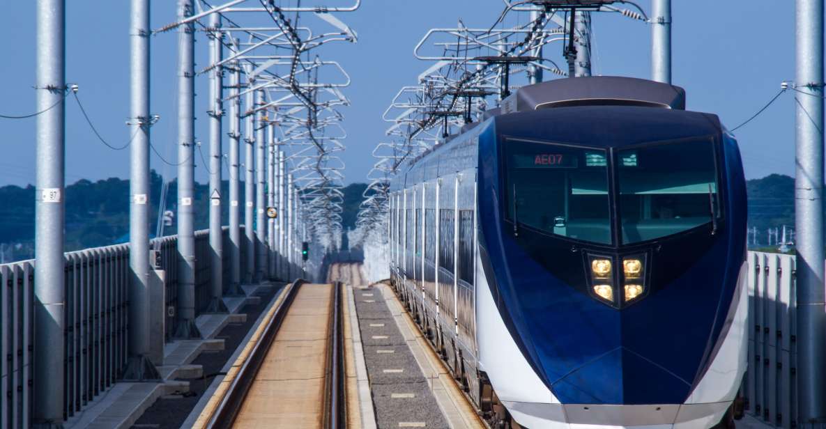 Tokyo: One-Way Skyliner Train Ticket From Narita Airport - Just The Basics