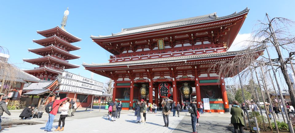 Tokyo: Private City Highlights Tour With Local Guide - Just The Basics