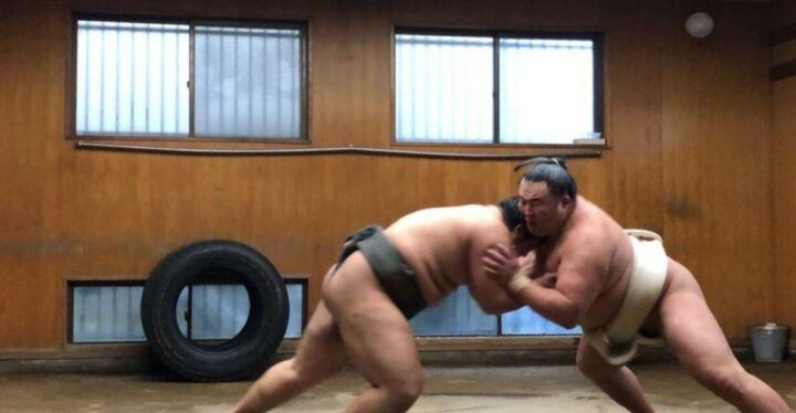 Tokyo: Sumo Morning Practice Tour in Ryogoku - Just The Basics