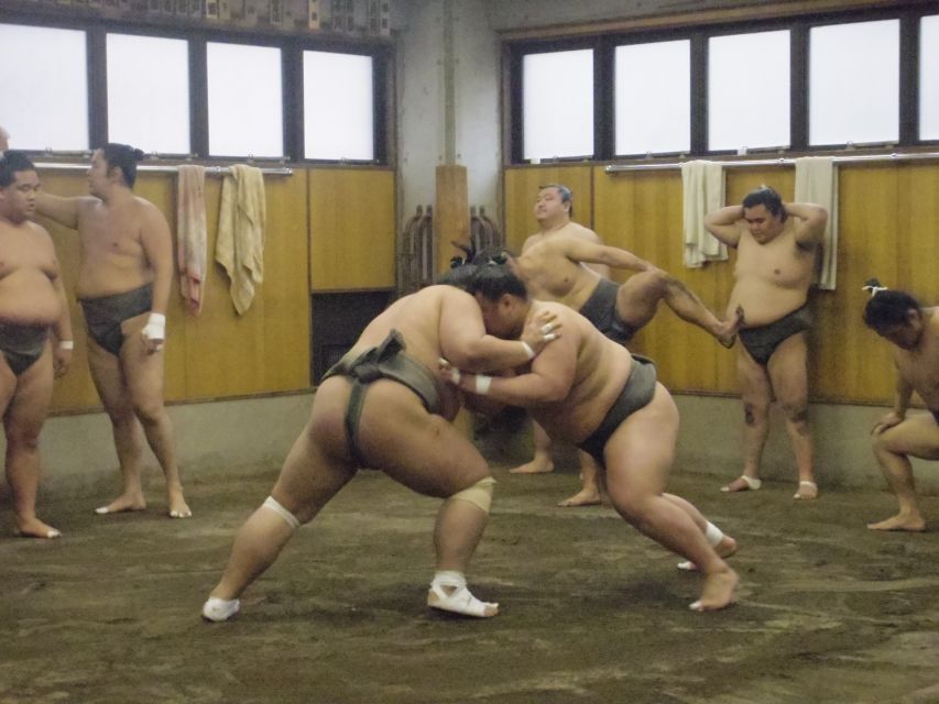 Tokyo: Sumo Morning Practice Viewing Tour - Just The Basics