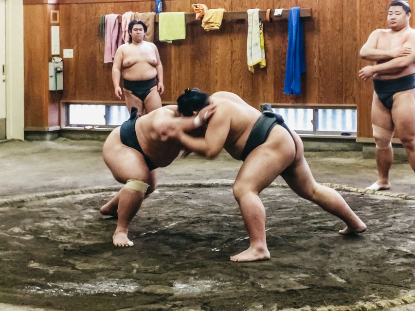 Tokyo: Sumo Morning Training Visit - Just The Basics